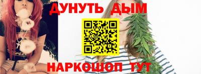 крисы Краснодар