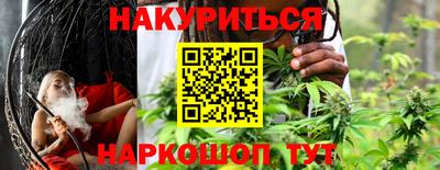 крисы Краснодар