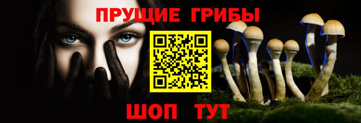 Канск  Псилоцибиновые грибы Psilocybine cubensis  Вход с VPN 
